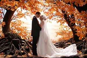 Весілля восени