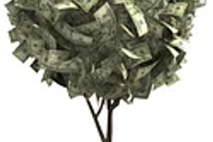 Делаем денежное дерево!