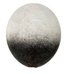 Ексклюзивна латексна кулька "Омбре" чорно-білий 12"(30см) BelBal 1шт.