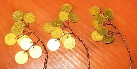 гілочки грошового дерева з монетками